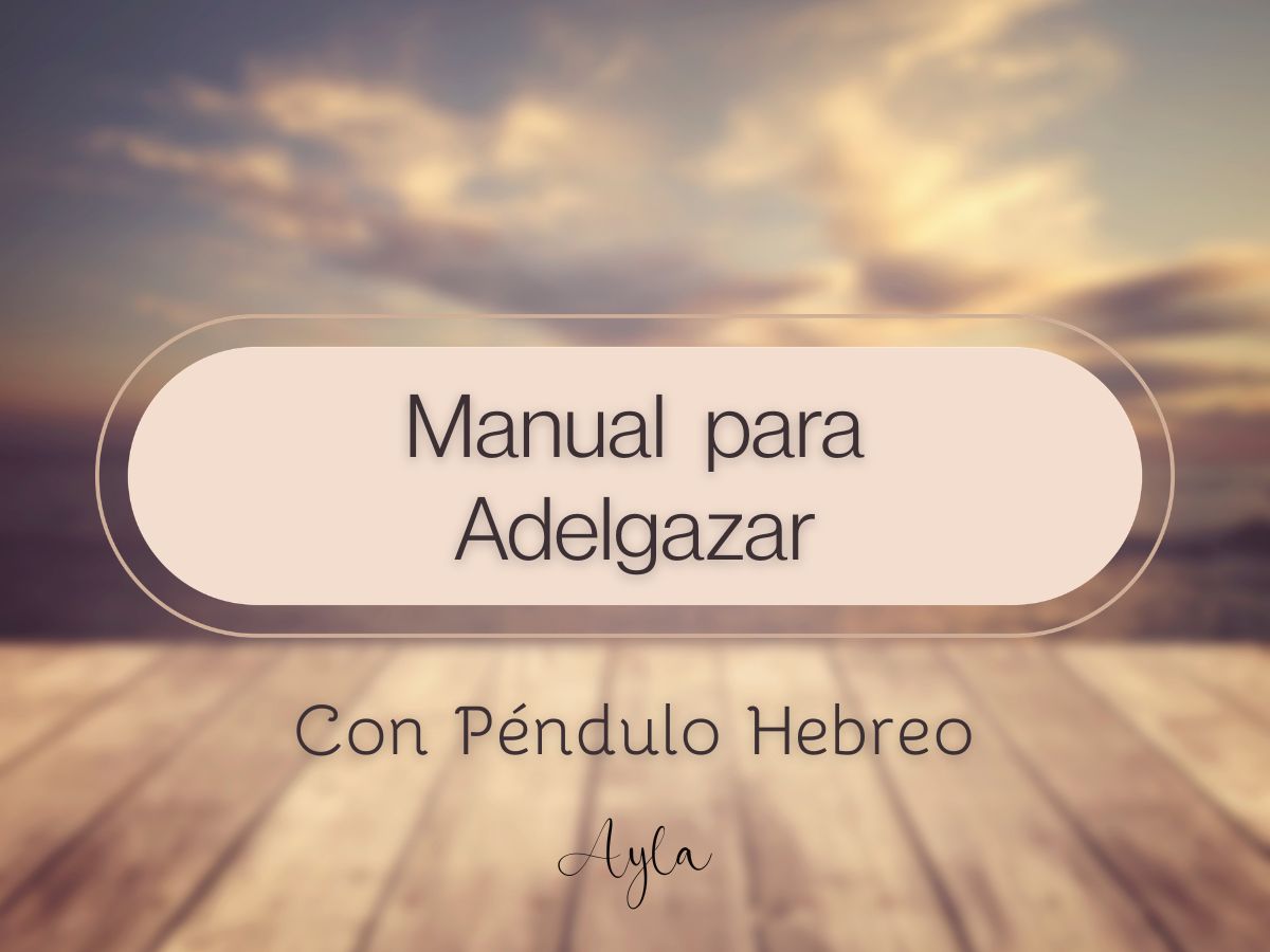 Manual Adelgazar