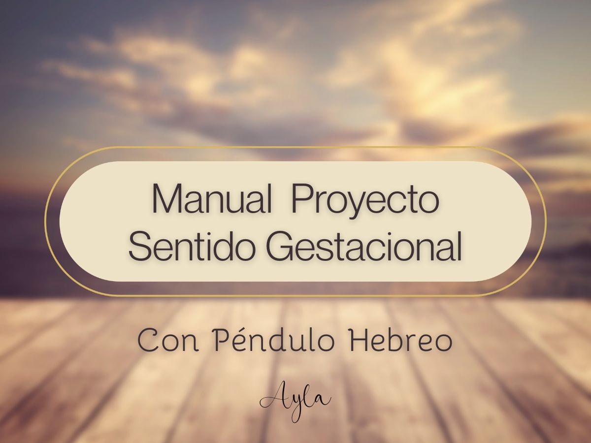 Manual Proyecto Sentido Gestacional